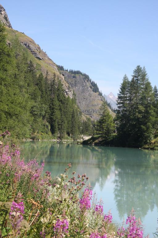 Colettine Villa Tignes Dış mekan fotoğraf